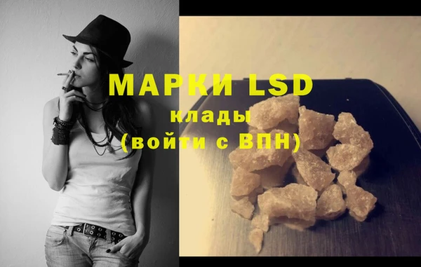 ГАЛЛЮЦИНОГЕННЫЕ ГРИБЫ Вязьма