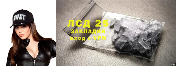гидра Володарск