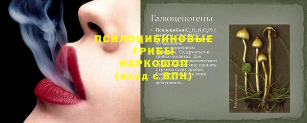 гидра Володарск