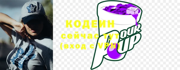 гидра Володарск