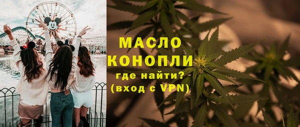 МДПВ Вяземский