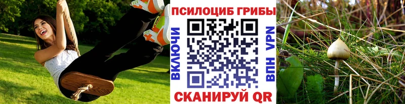 Псилоцибиновые грибы GOLDEN TEACHER  Ипатово 